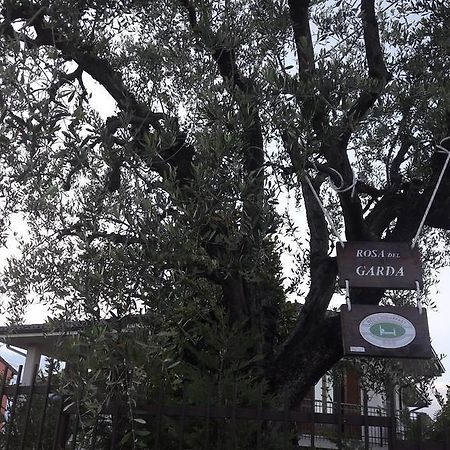 B&B Rosa Del Garda Lazise Kültér fotó