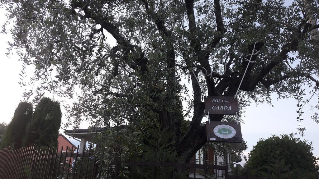 B&B Rosa Del Garda Lazise Kültér fotó